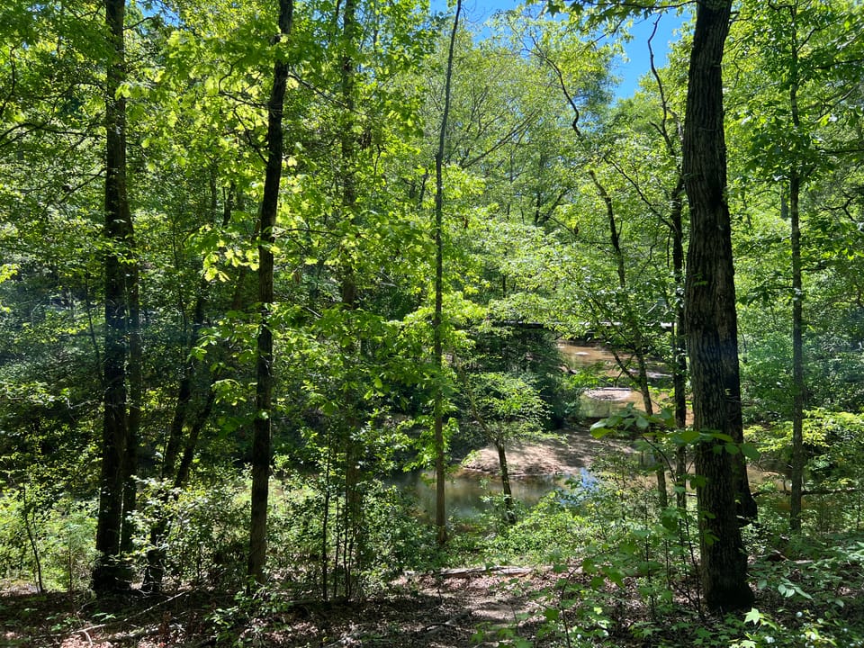 Traveling the South: A Genealogist's Road Trip